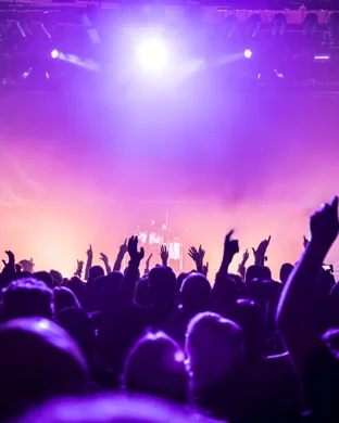 California Dream On: Aerosmith & Friends